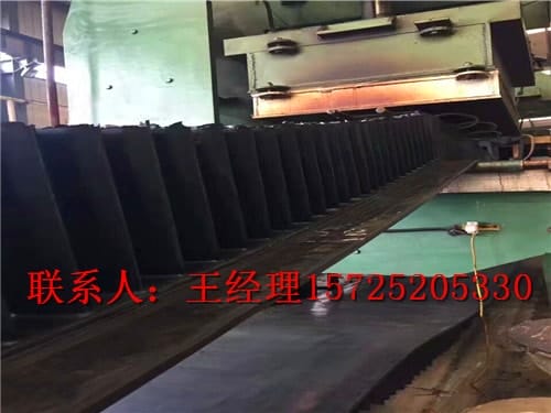 大傾角輸送帶生產照片